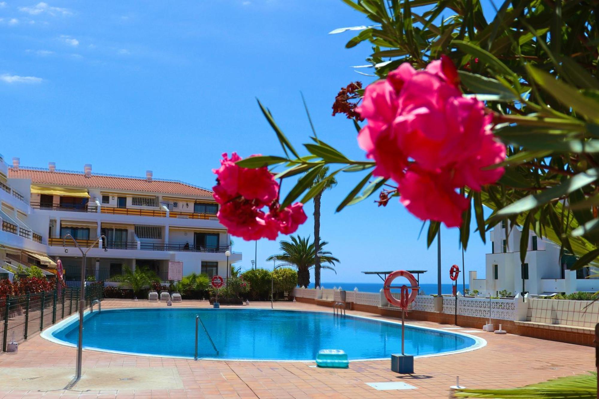 Sunflower Apartment Just Relax Puerto de Santiago  Ngoại thất bức ảnh